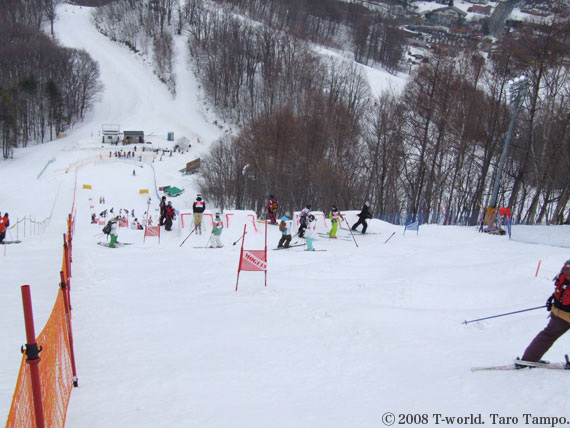 フリースタイルスキー 全日本選手権 モーグル 公式練習