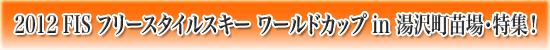 2012 FIS フリースタイルスキー モーグル ワールドカップ in 湯沢町 苗場 大会・特集